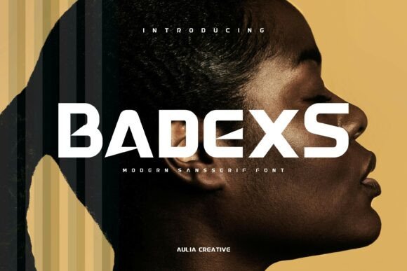 Badexs: The Modern Sans Serif Font for Polished Branding