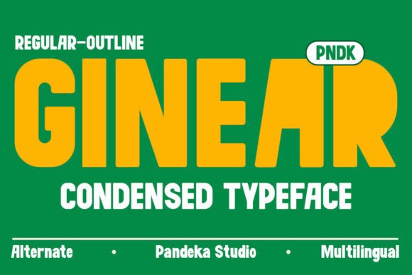 Ginear Typeface: A Playful Font for Small Business Branding