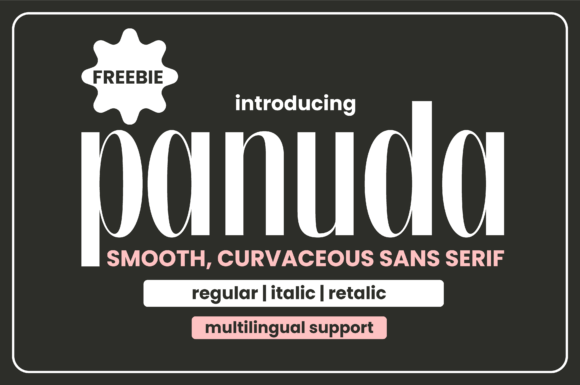 Panuda Font: A Maker's Guide to Modern Sans Serif Style